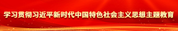 操女人的逼后插内射学习贯彻习近平新时代中国特色社会主义思想主题教育